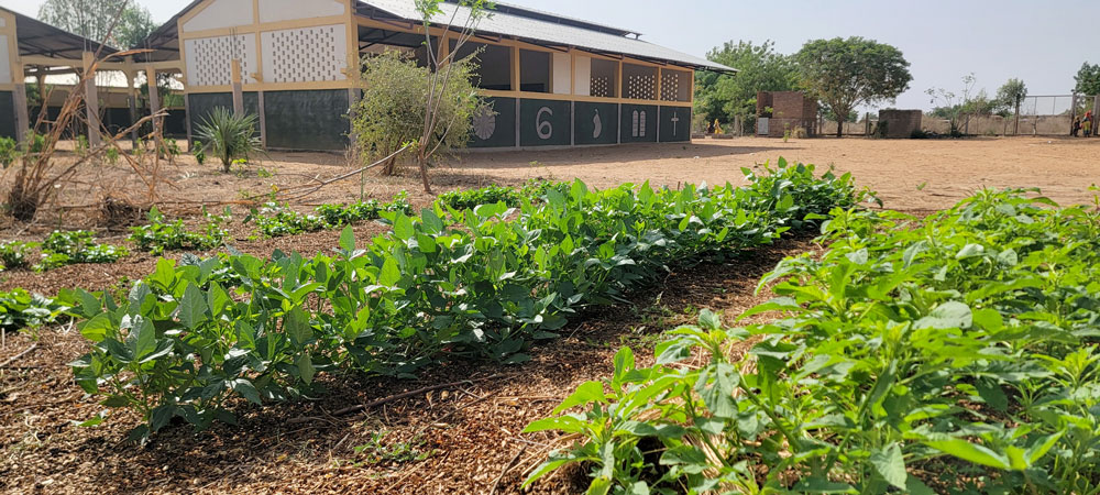 Gethsemane de Meube School - gardening