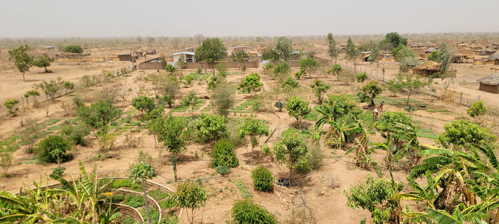 Gethsemane de Meube School - gardening